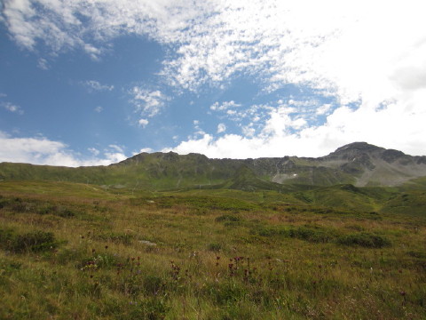 c0180096_446967.jpg