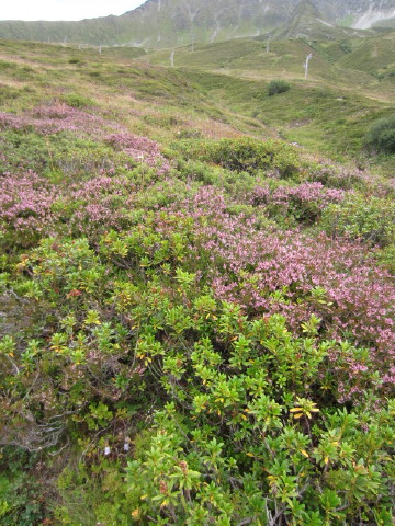 c0180096_4481952.jpg