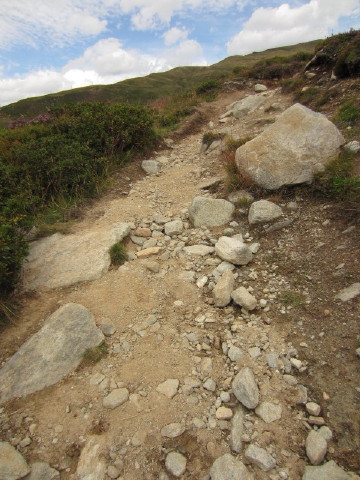 c0180096_4502283.jpg