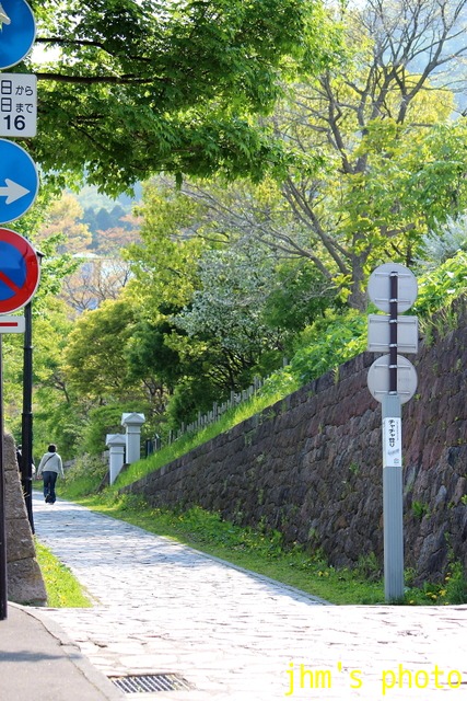 若葉の頃の函館風景_a0158797_1125557.jpg