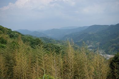 c0191597_9193553.jpg
