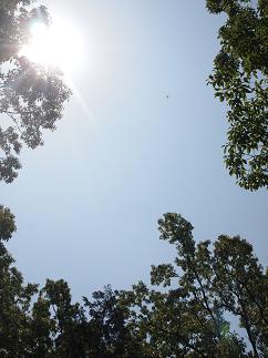 a0240108_6113661.jpg