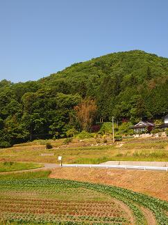 a0240108_68341.jpg