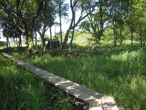 d0115409_184331.jpg