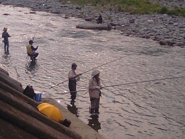 西条市はあゆ魚の解禁の日・・・2015/6/1_f0231709_1061955.jpg