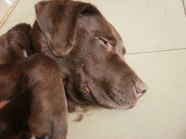 c0116610_10464084.jpg