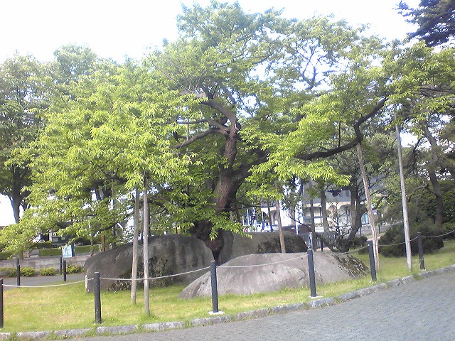 風格ある県庁所在地・盛岡市_f0141310_737345.jpg