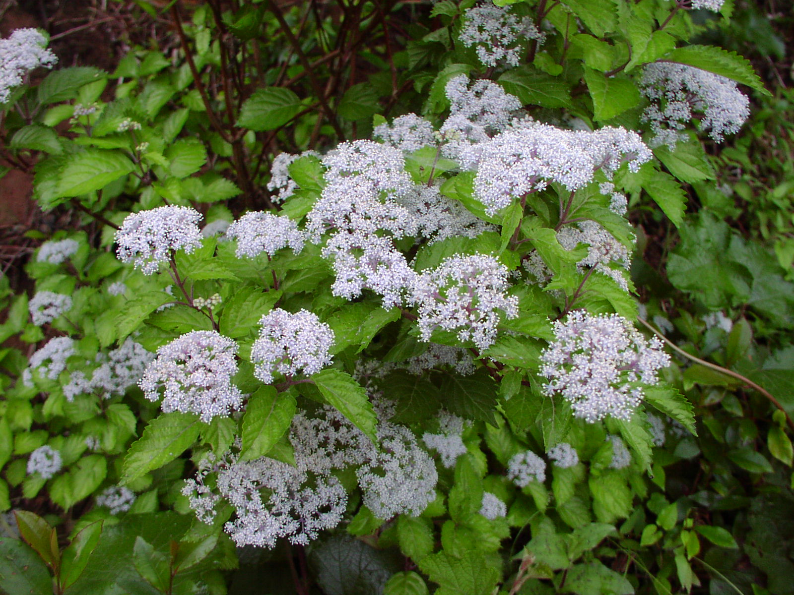 f0164410_228126.jpg