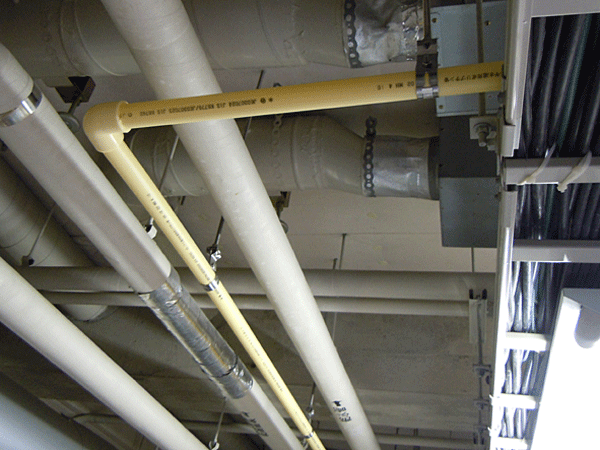 b0159611_0503843.gif
