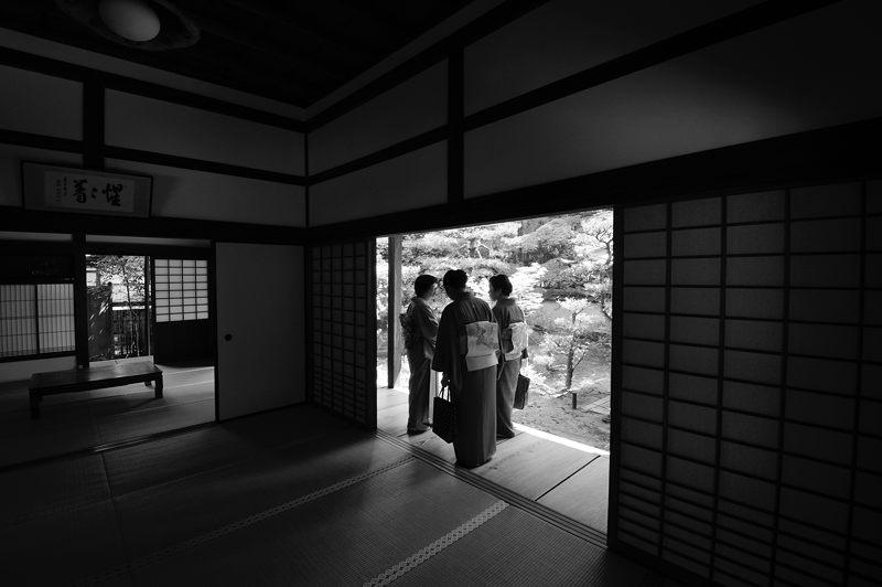 青葉巡り・大徳寺塔頭高桐院　其の二_f0032011_1943231.jpg