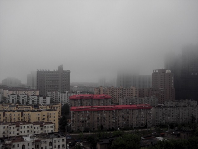 b0093515_735461.jpg