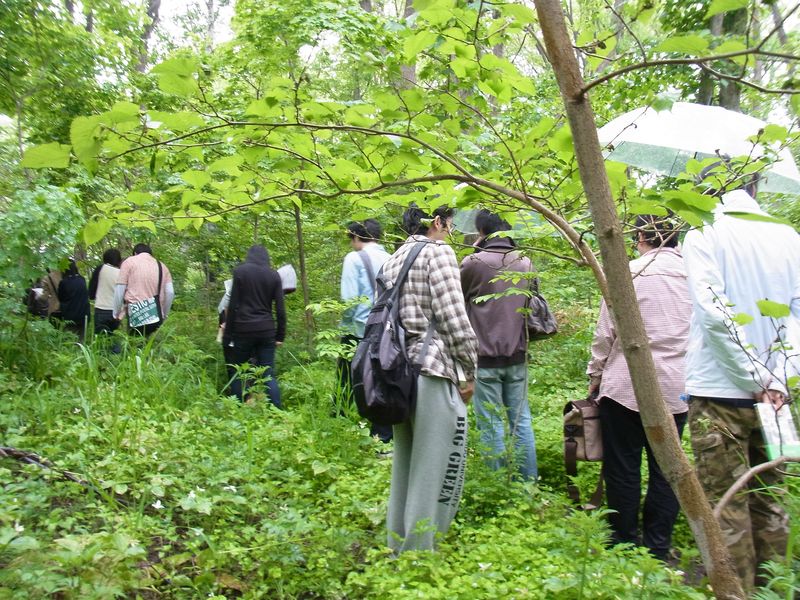神戸から恵迪の森へ_c0025115_19493914.jpg