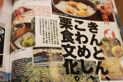 東海版ぴあ　ご当地グルメ２０１３_d0063218_14162572.jpg