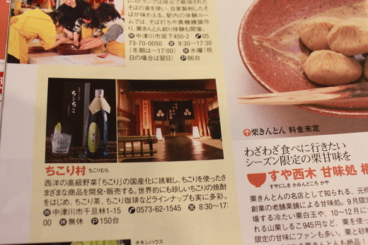 東海版ぴあ　ご当地グルメ２０１３_d0063218_14174563.jpg