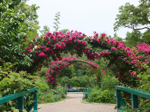 e0135518_1225016.jpg