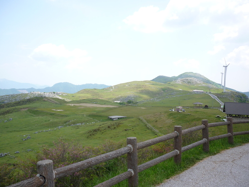 a0252720_1793037.jpg