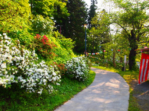 b0147224_21354834.jpg