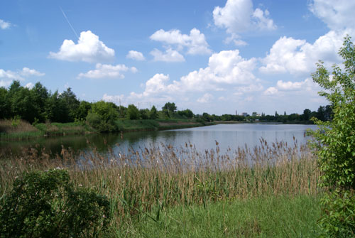 c0184125_228205.jpg