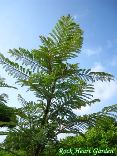 e0134835_21574894.jpg