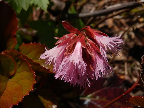 f0003138_13535474.jpg