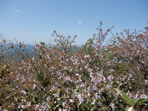 f0003138_1411345.jpg