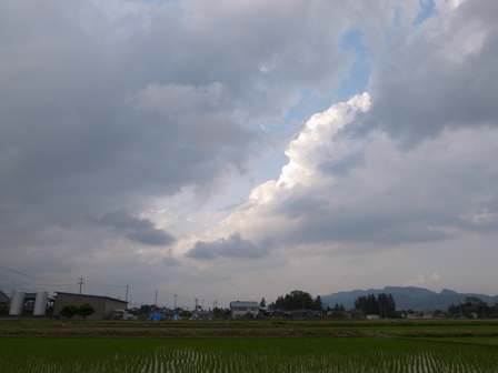 雨があがって_a0014840_2236583.jpg