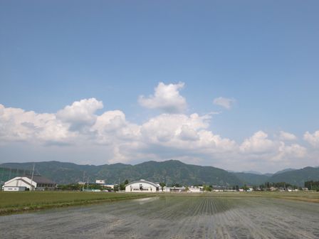 ゴロリゴロリ_a0014840_2254949.jpg