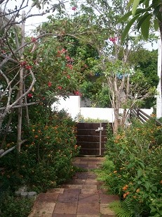 b0110545_6291427.jpg