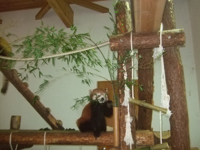 ゆり組 親子旅行_d0166047_21315142.jpg