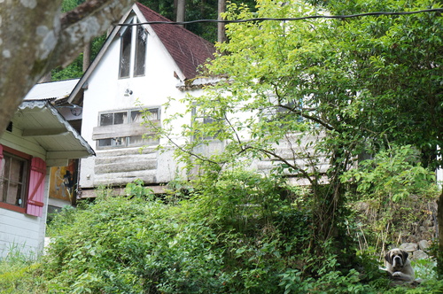 b0242248_23222389.jpg