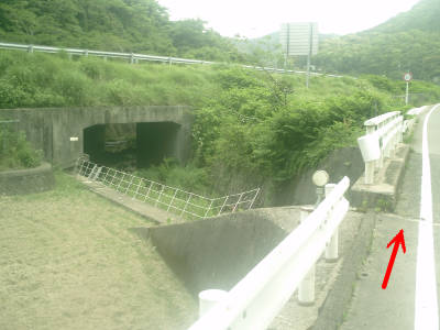 e0033751_2123117.jpg