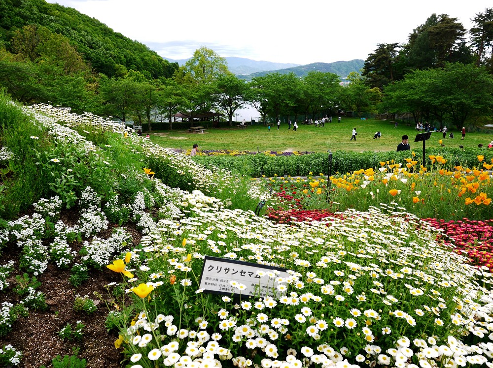 　　和歌山県緑花センター　　２０２３-０４-２６　００：００_b0093754_2039494.jpg