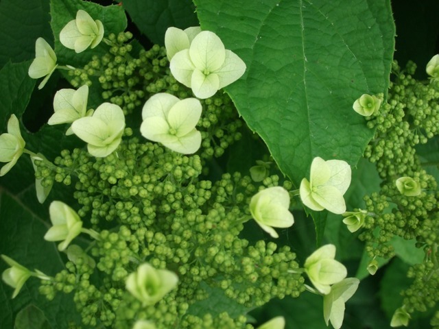c0111557_8413367.jpg