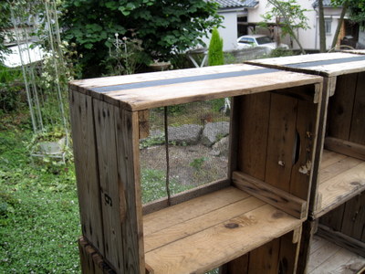 d0149257_1717111.jpg