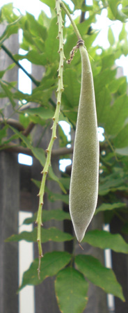 a0053063_2241556.jpg