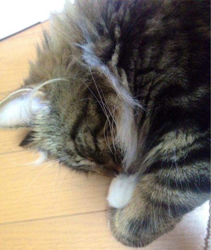 クロス〜_c0151965_16222872.jpg