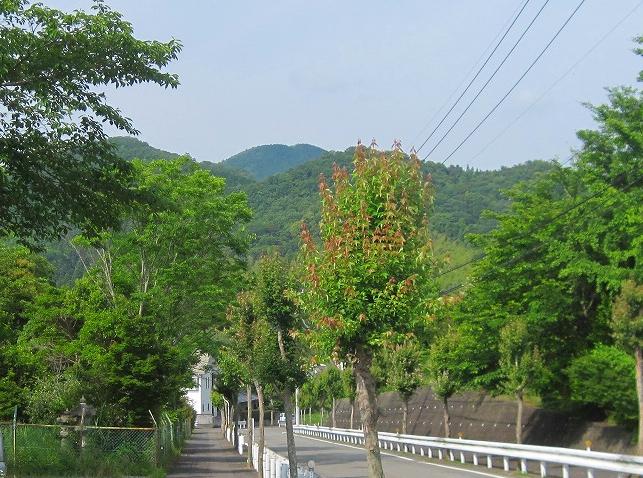 c0219866_1736362.jpg
