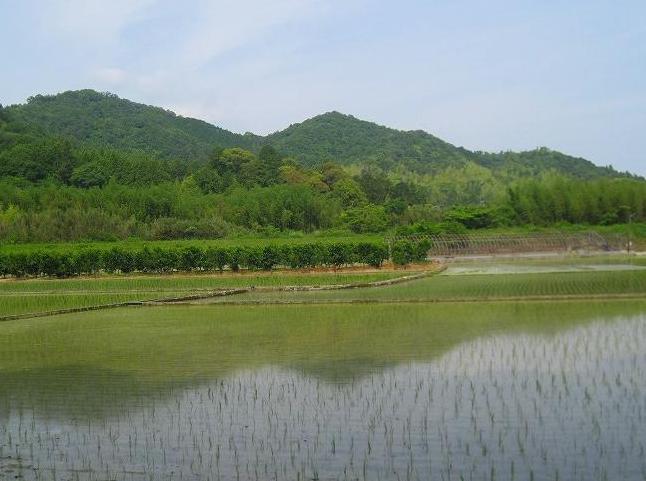 c0219866_1738939.jpg