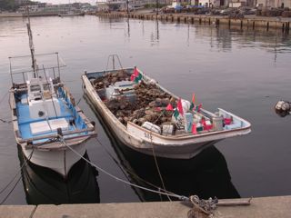 a0168068_21392753.jpg