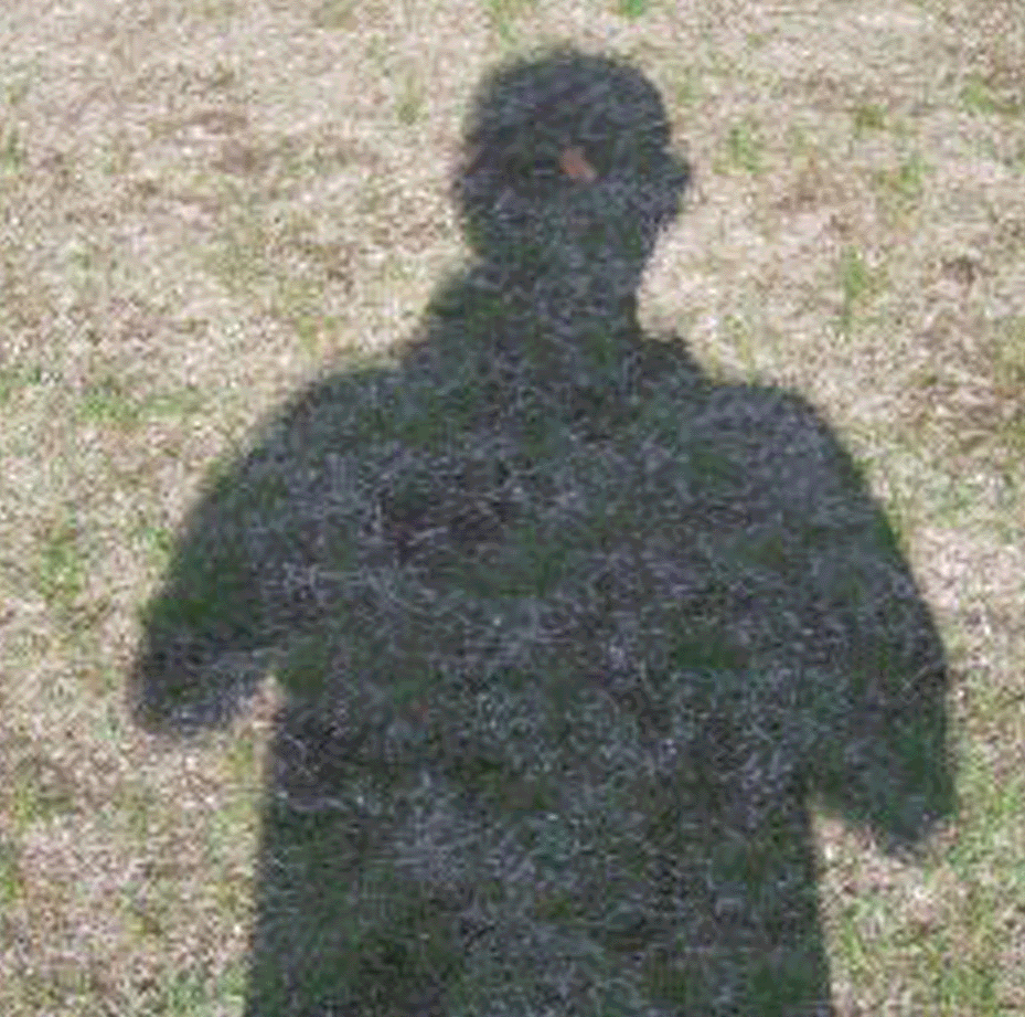 d0094868_16194167.gif