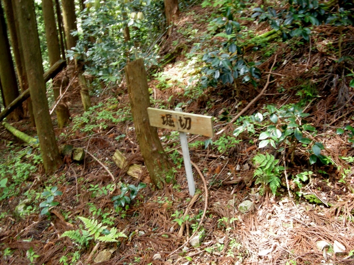 Ｎo219 岡山・津山市の矢筈山_b0185573_14464411.jpg