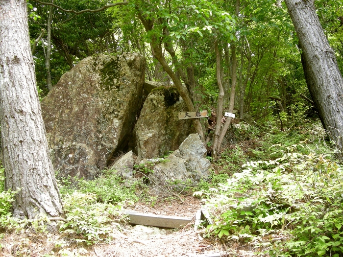 b0185573_19113719.jpg