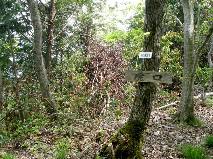 b0185573_19132381.jpg