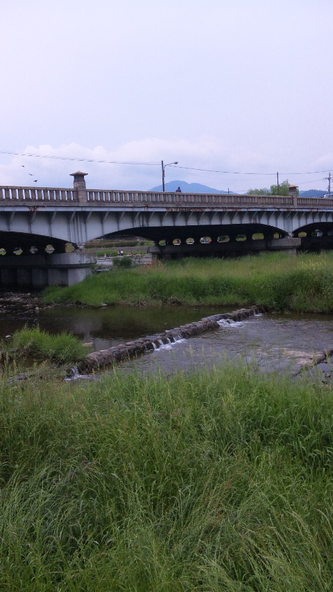 そうだ、京都行こう　　～　食べるの巻　～_f0011875_1191262.jpg