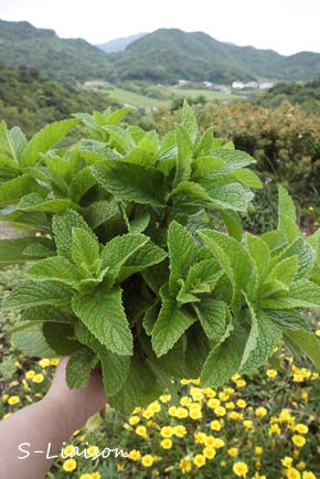 b0139477_0131190.jpg