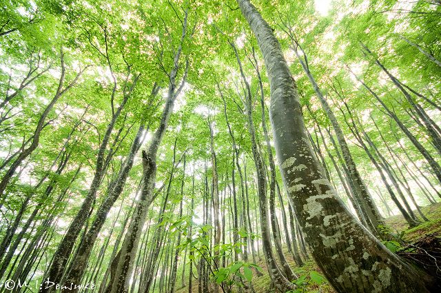 今日は写真の日 らしい 四季燦燦 癒し系 かも風景写真 今日は写真の日 らしい 四季燦燦 癒し系 かも風景写真