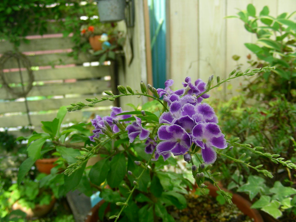 b0096584_23121440.jpg