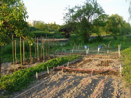 a0247585_7405061.jpg