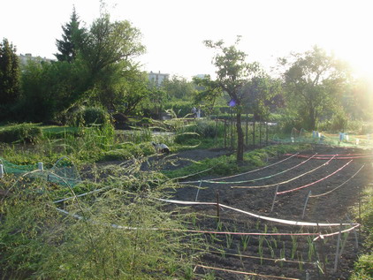 a0247585_747489.jpg