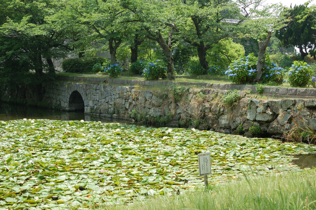 今日も舞鶴公園ブラブラ_c0235188_14151555.jpg